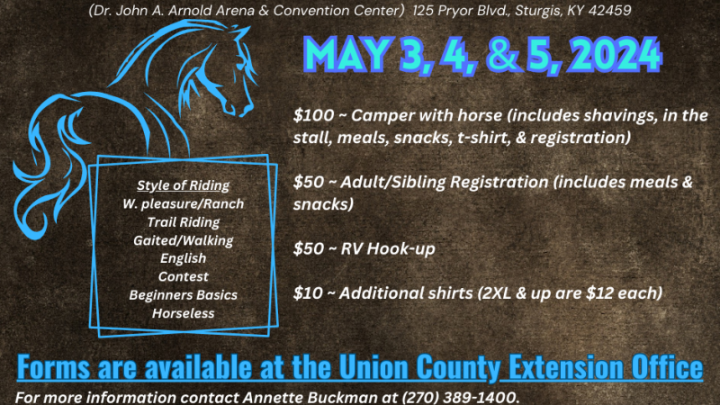 blue horse, horse, camp, dates, times