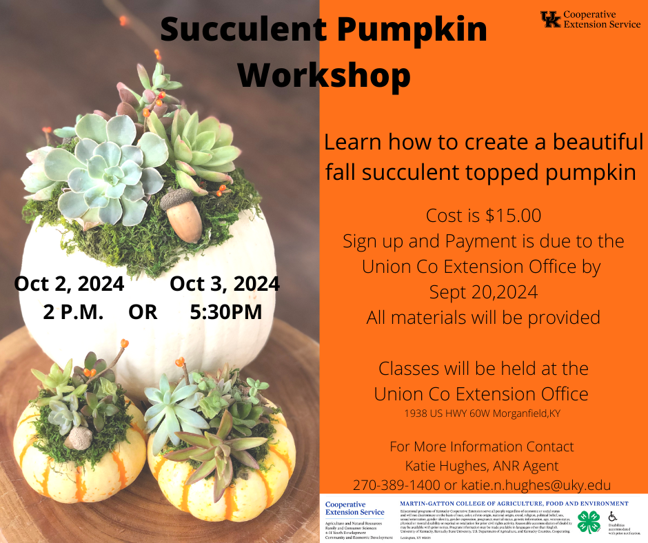 2024 Succulent and Pumpkin Workshop