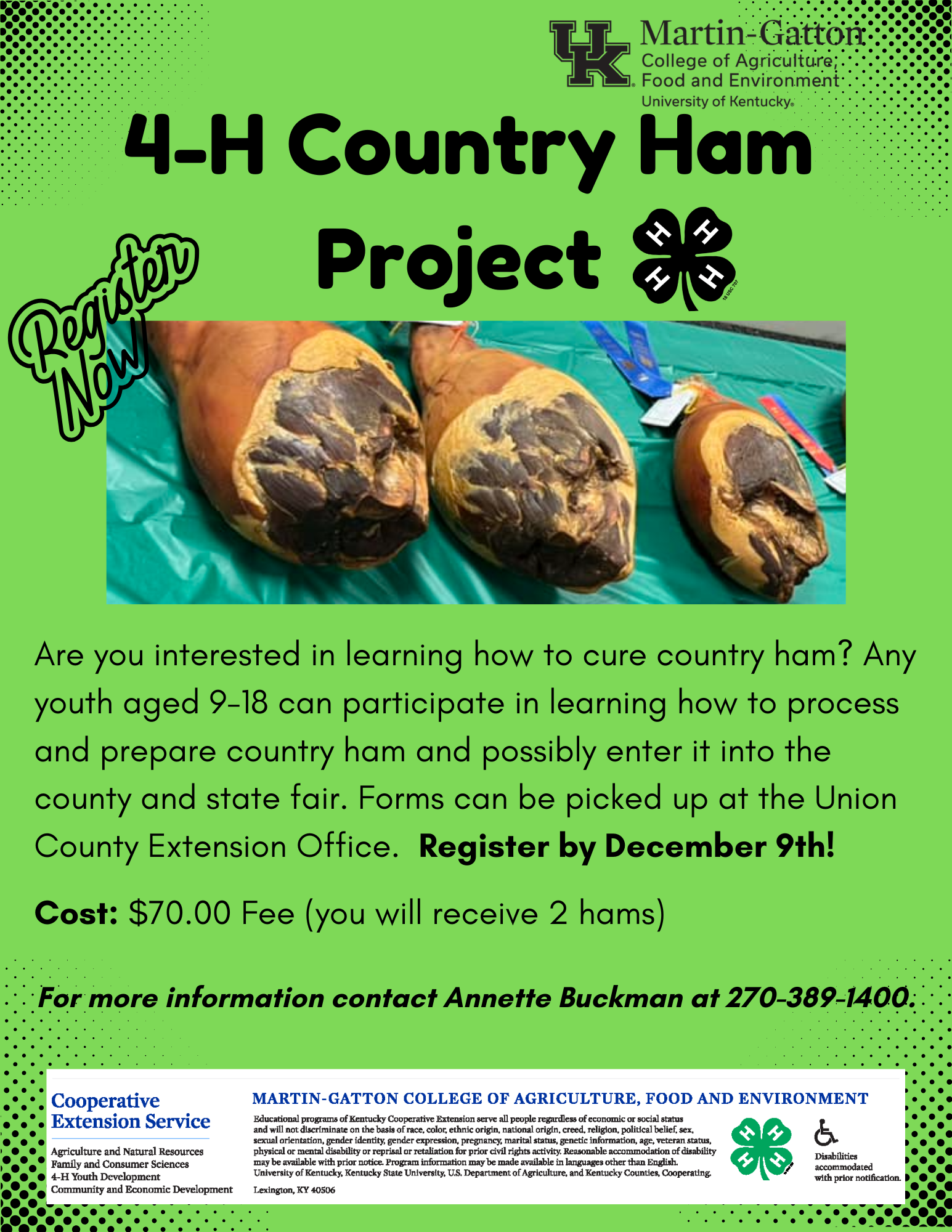 green background,country ham,project information