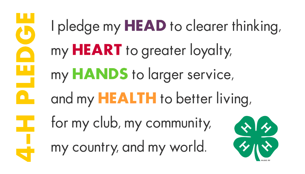 4-H pledge in colorful letters