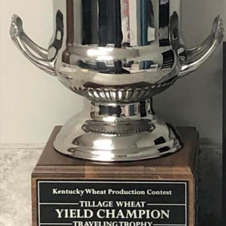  silver trophy cup on wood block, yield champion award