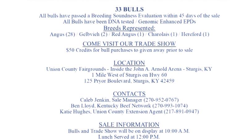 union county bull sale, bull head, UK, bull sale information